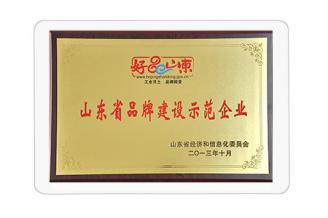 山东省品牌建设示范企业