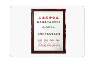 山东民营企业医养健康行业领军10强