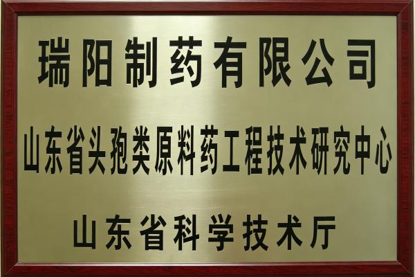 18-山东省头孢类工程技术研究中心.jpg